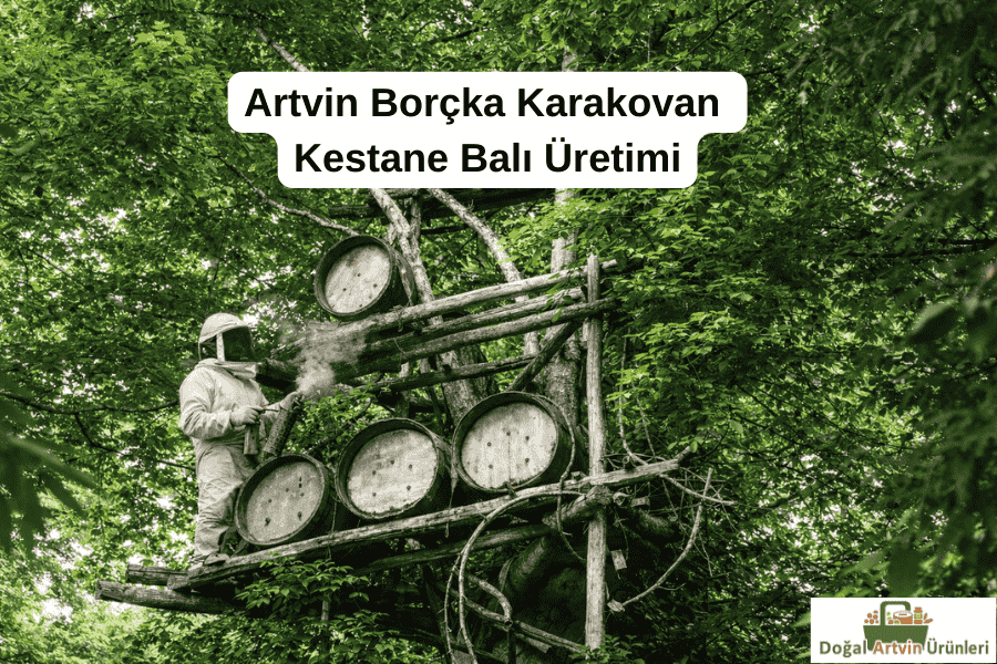Artvin Borçka ormanlarında kütük kovanlarda geleneksel yöntemlerle karakovan kestane balı üreten arıcı