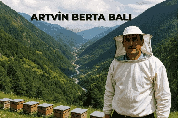 Artvin Berta Balı: Bilimsel Analizlerle Tescilli Doğal Lezzet