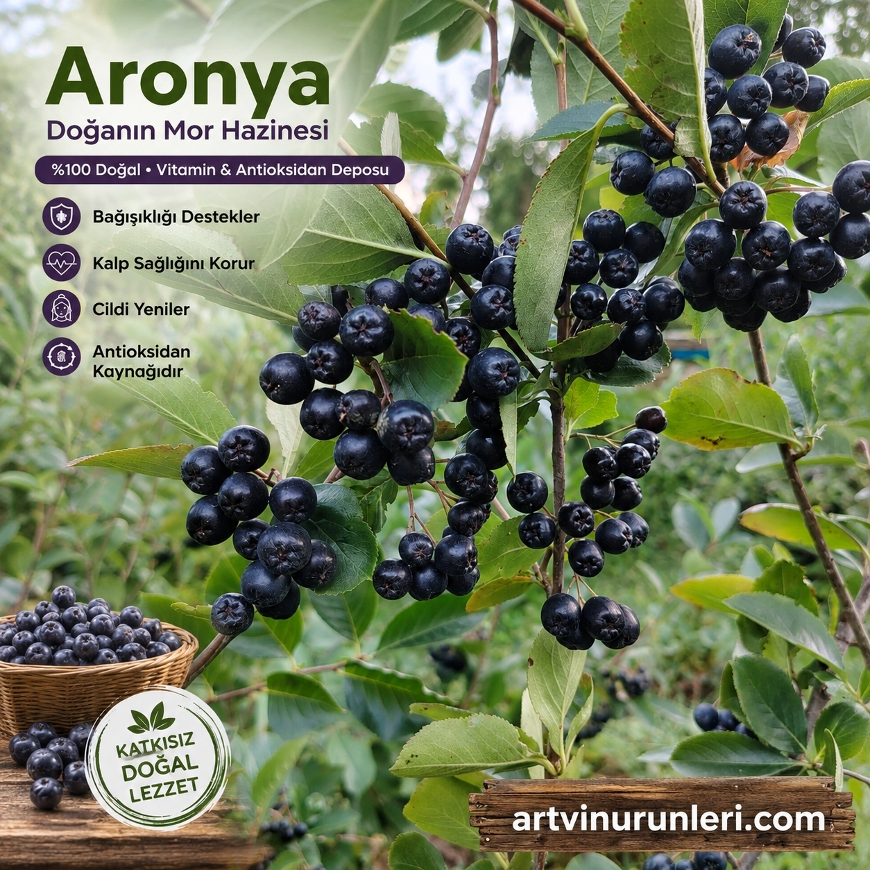 Artvin Aronya Reçeli 450 g | Berta’dan Doğal Ev Yapımı 