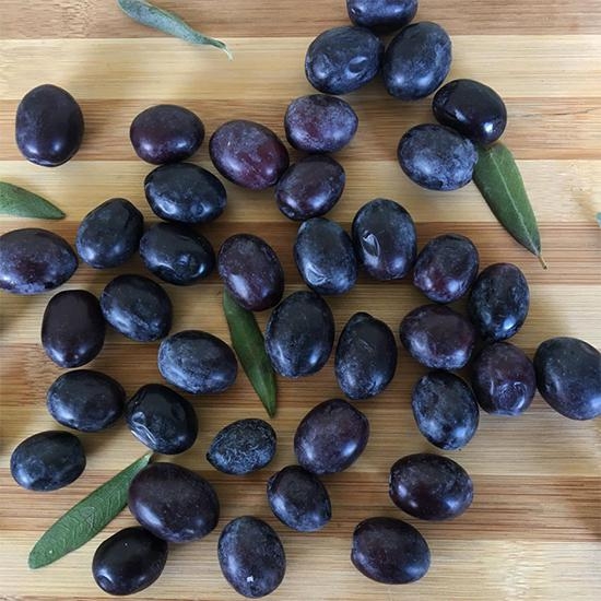 Yusufeli Zeytini Butko 1 Kg