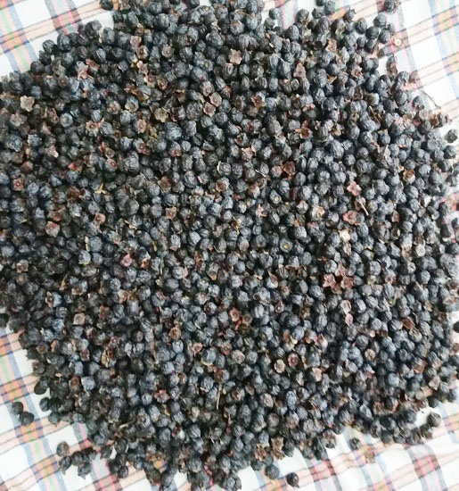 Kara Hurma - Artvin Berta  (500gr) 