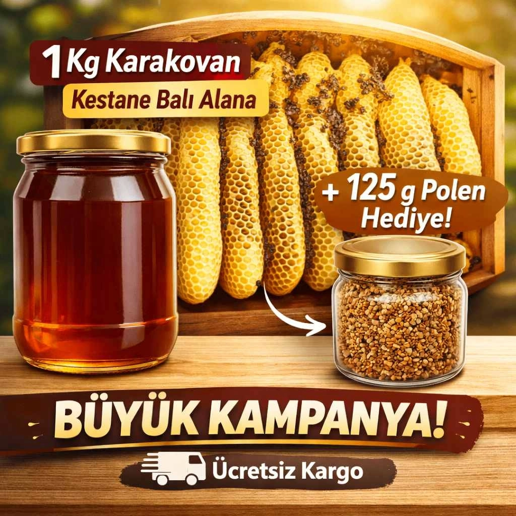 1 Kg Karakovan Süzme Kestane Balı Alana 125 g Polen Hediye