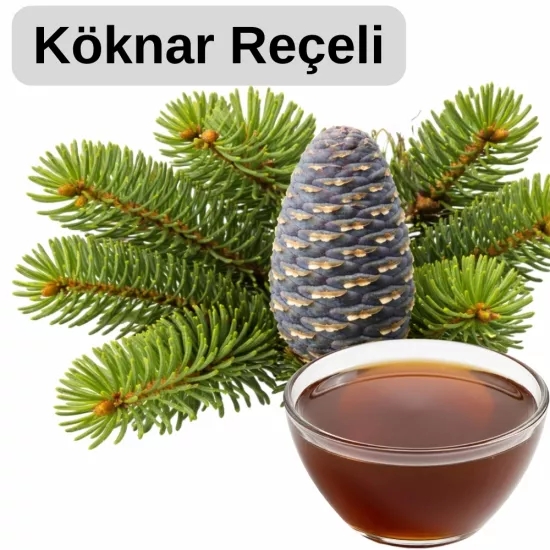  Artvin Orman Reçeli Serisi  450 g | Ladin, Köknar ve Çam Kozalak Reçeli