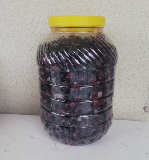 Yusufeli Zeytini Çamış (3 Kg )