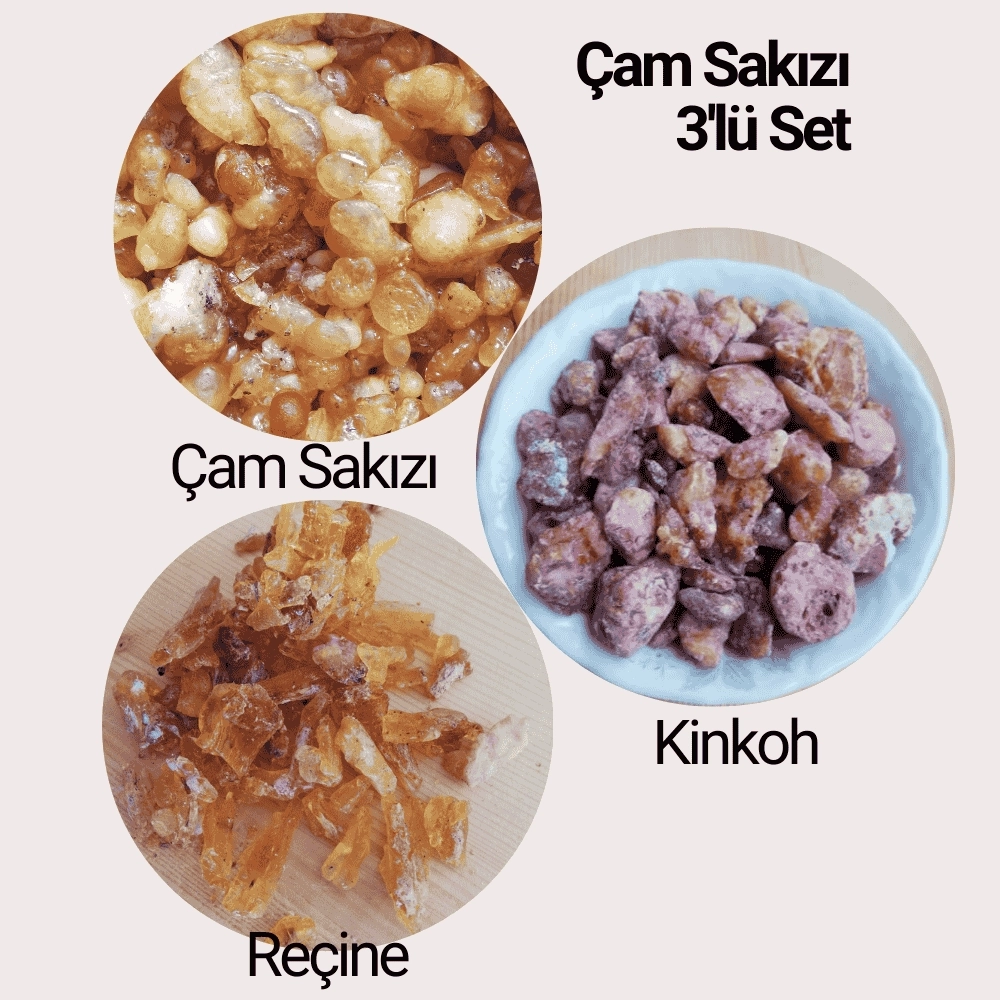 Çam Sakızı Paketi: Muhteşem Üçlü