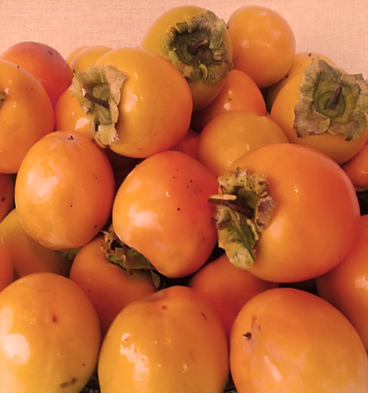 Cennet Hurması- Artvin Berta- (1 Kg)