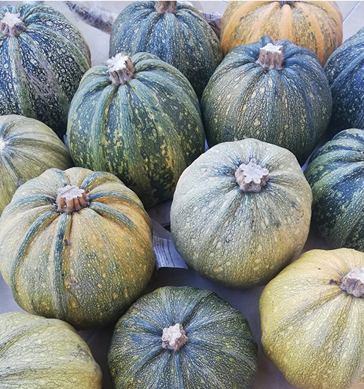 Organik Bal  Kabağı, Geleneksel  Tohum, Artvin Berta (1 Kg)