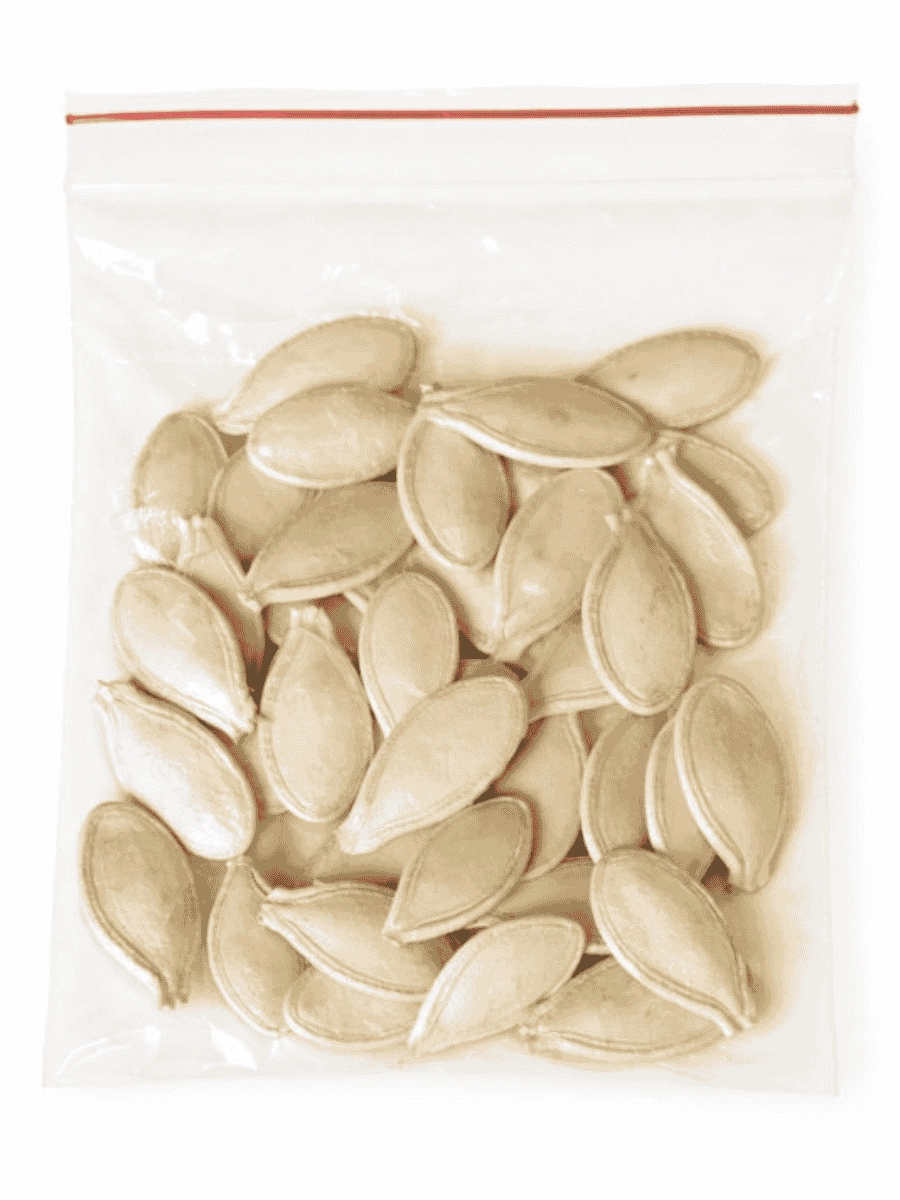 Ata Tohumu Kara Kabak Çekirdeği (40 Adet)