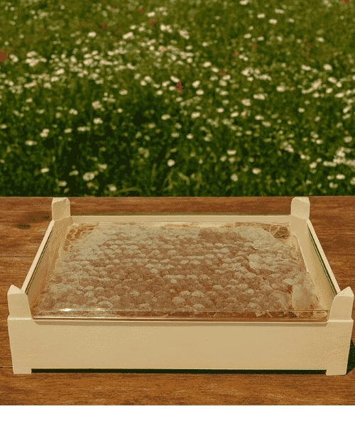 Hakiki Karakovan Petekli Balı 400g