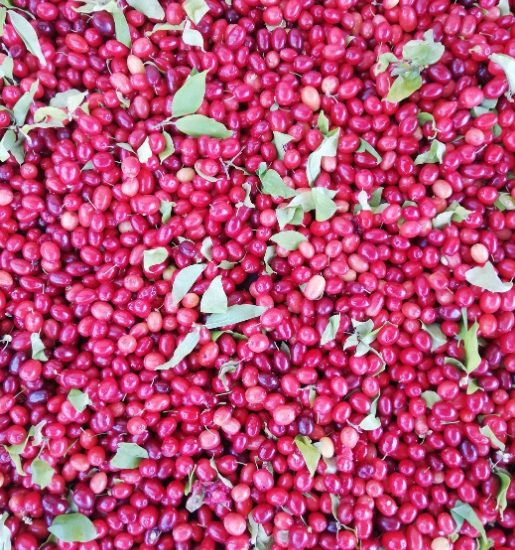 Kızılcık%20Pestili,%20Artvin%20Berta%20(Net%20500%20Gr)