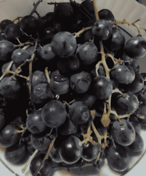 Kokulu Siyah Üzüm Pekmezi  (Net 470 g)