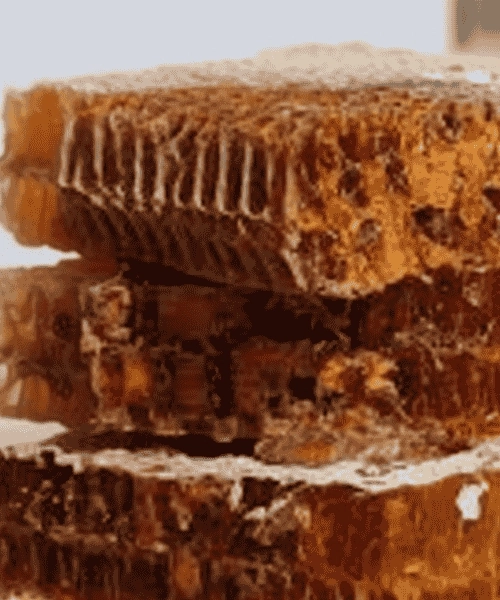 Ham Arı Ekmeği (Perga)  100g