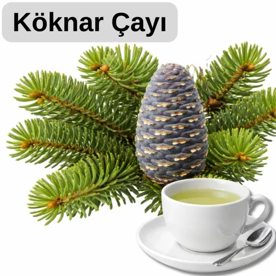 Artvin Orman Çayı Serisi | Ladin, Köknar ve Çam Sürgünü Çayı
