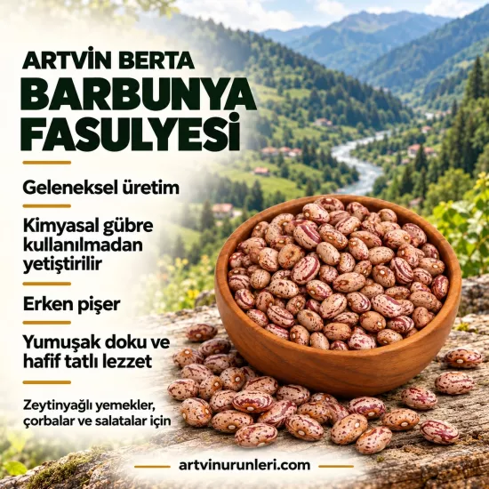 Barbunya Fasulyesi Artvin Berta Köyünden 