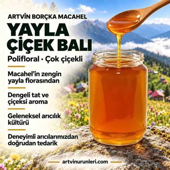 Borçka Macahel Yayla Çiçek Balı 