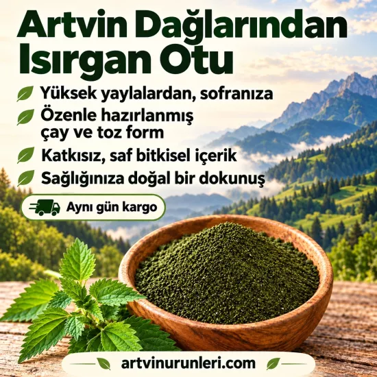 Artvin’den Isırgan Otu Tozu ve Çayı