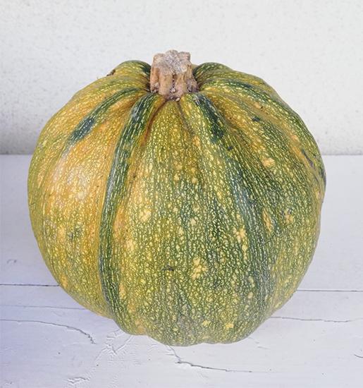 Organik Köy Kabağı Artvin Berta