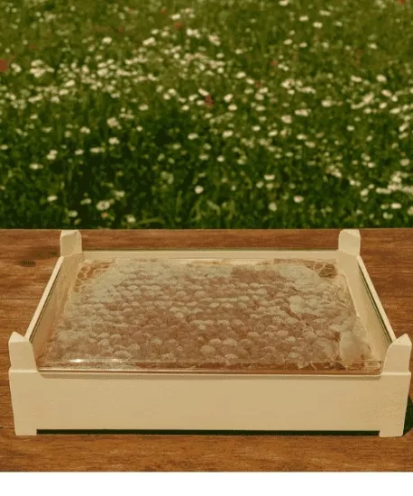 Karakovan Petekli Bal Özel Kutulu