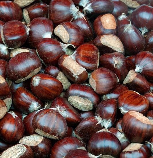 İri Taneli Artvin Borçka Kestanesi