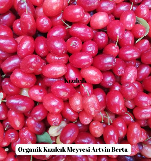 Doğal Kızılcık Pestili  |  Berta’dan Doğal Lezzet