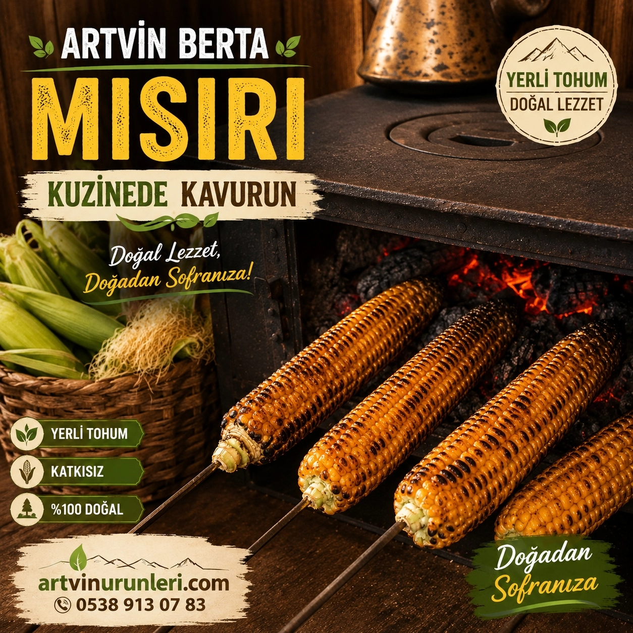 Ata Tohumu Mısır Koçanı 1 Adet | Artvin Berta, Taze veya Kurutulmuş