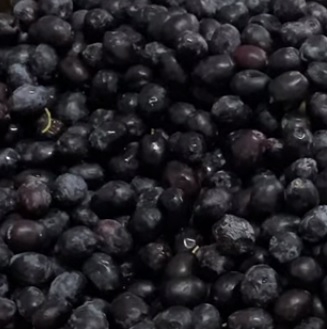 Yusufeli Zeytini Butko 1 Kg