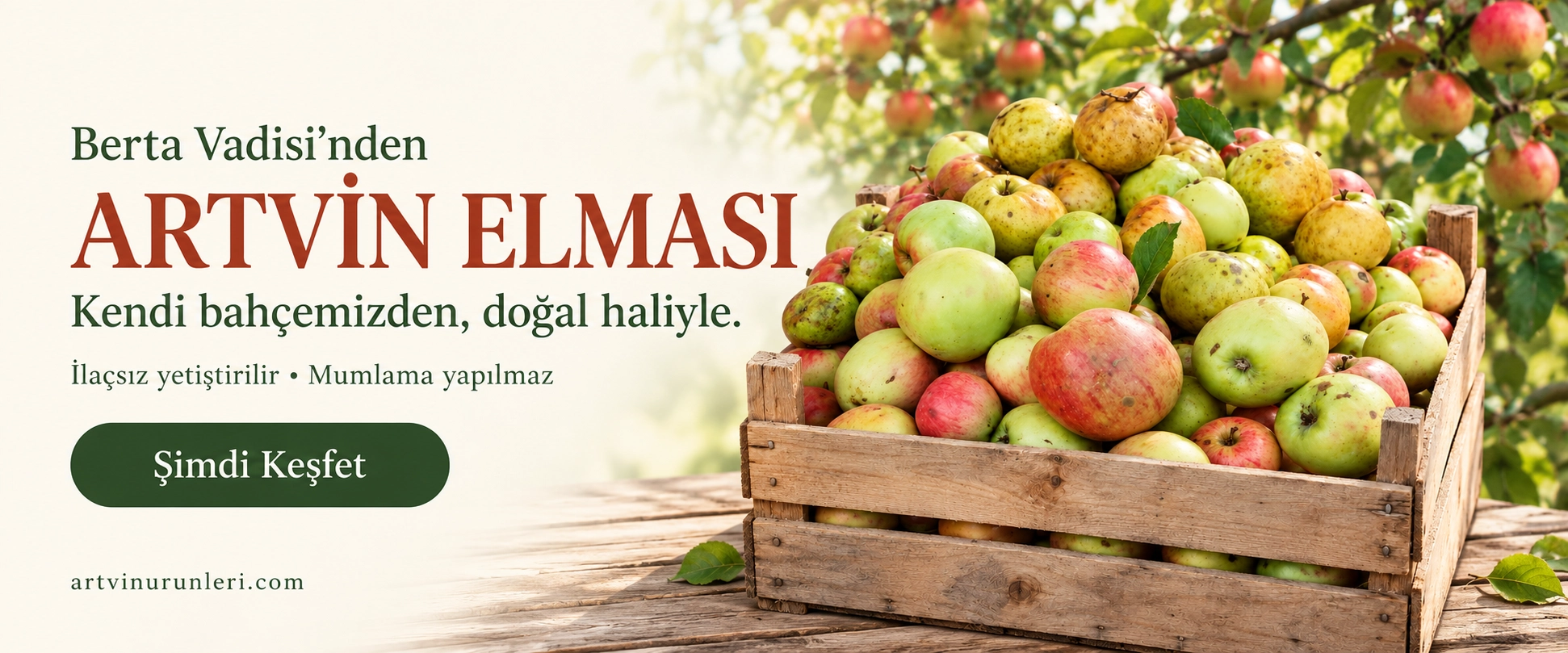 doğal artvin elması