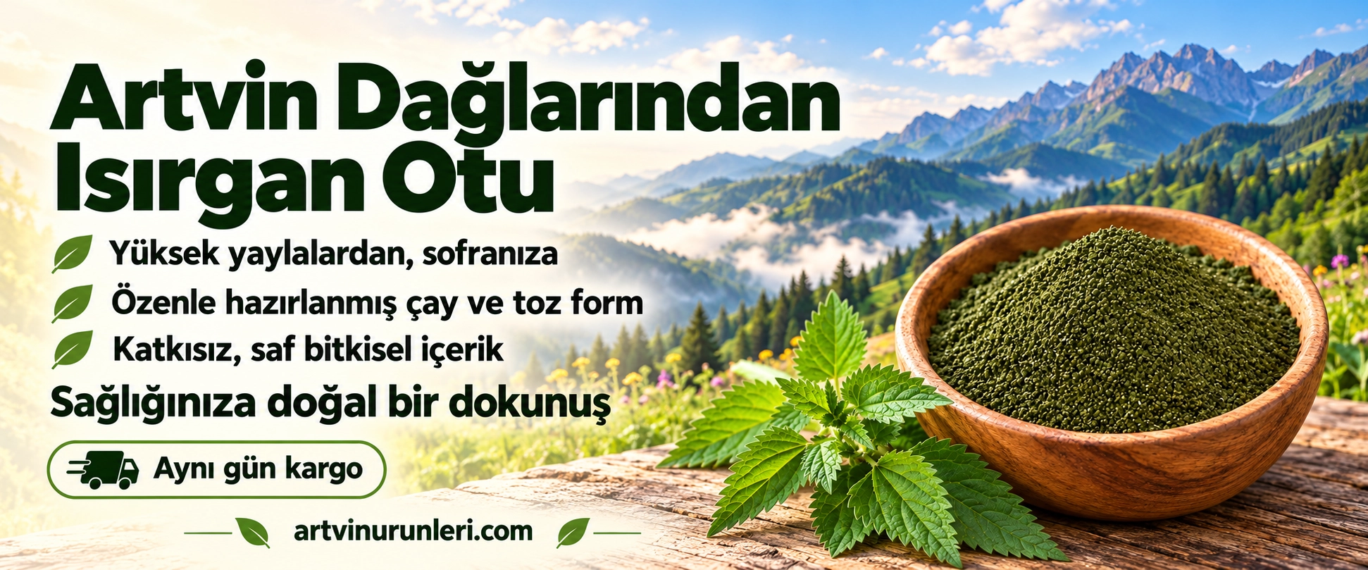 artvin ısırgan otu çayı ve tozu tohumu