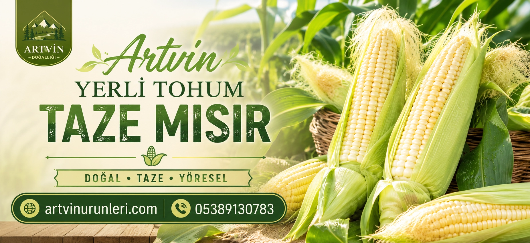ata tohumu mısır organik mısır