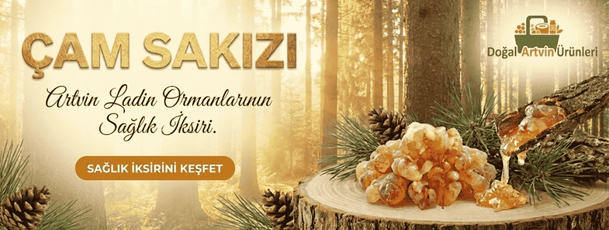 Doğal Artvin Çam Sakızı’nı Keşfet ve Satın Al